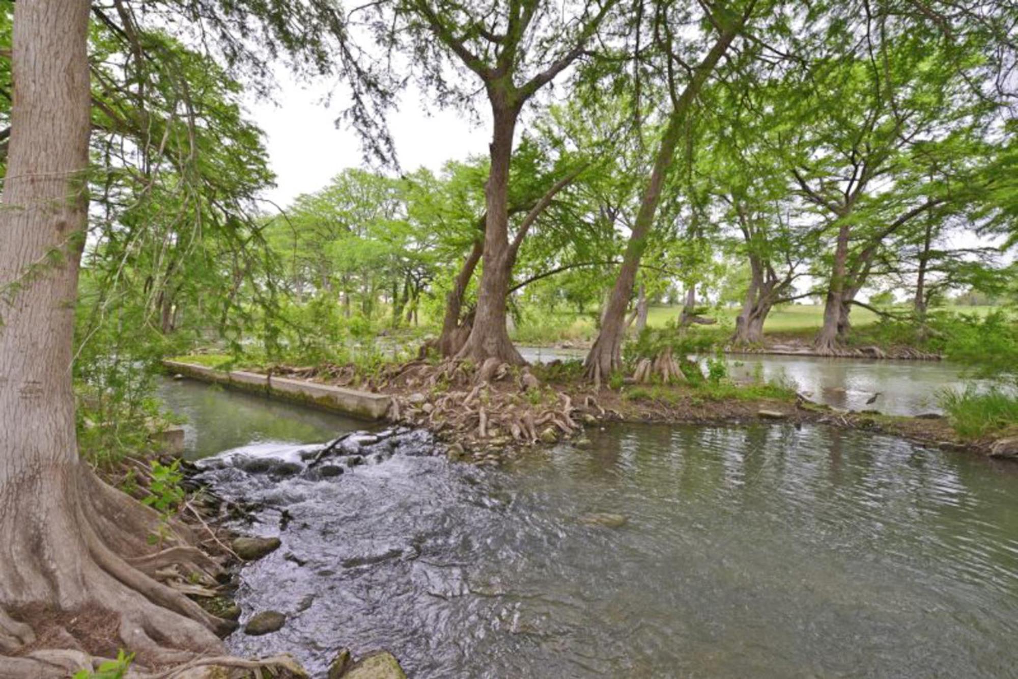 Water Wheel Resort Condo Resort New Braunfels Szoba fotó